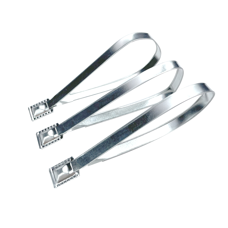Container door Tinplate Strap Seal for Air freight