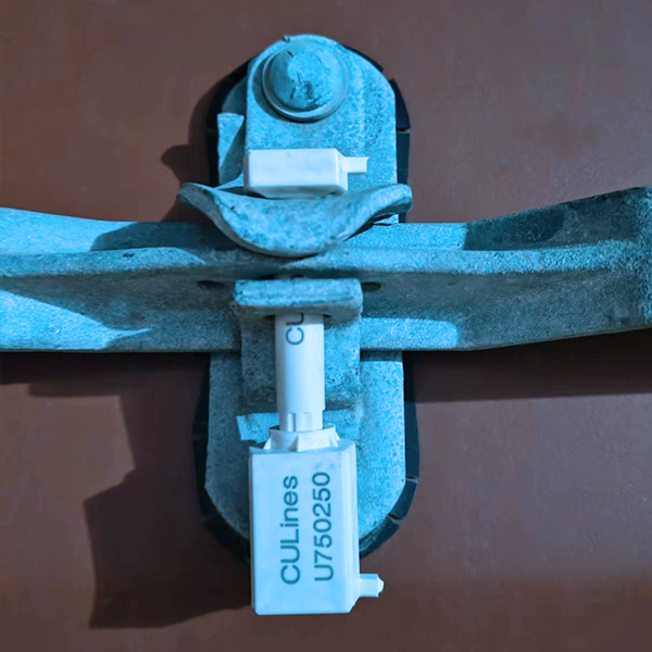 Customs industry