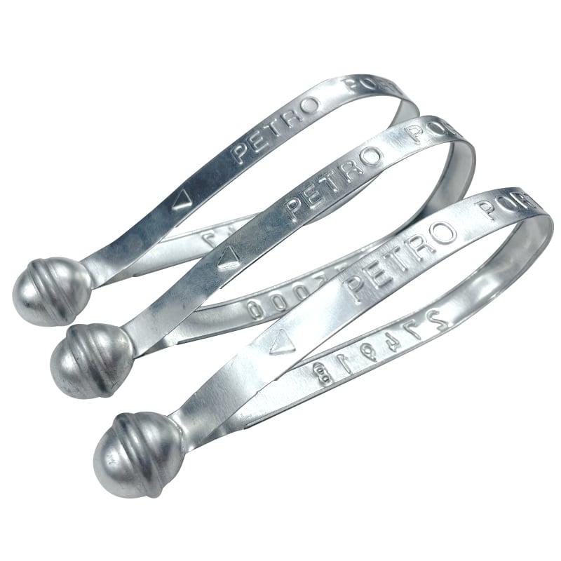 Metal Strap Seal