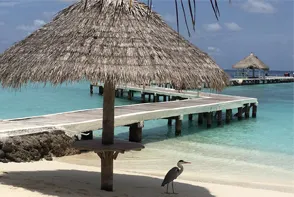 Maldives Eriyadu Island Resort