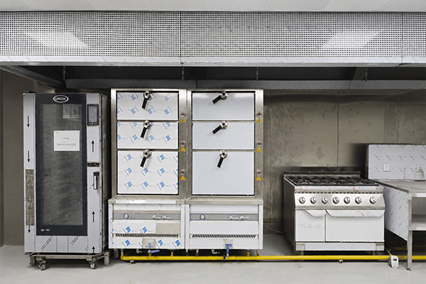 combi oven and steamer