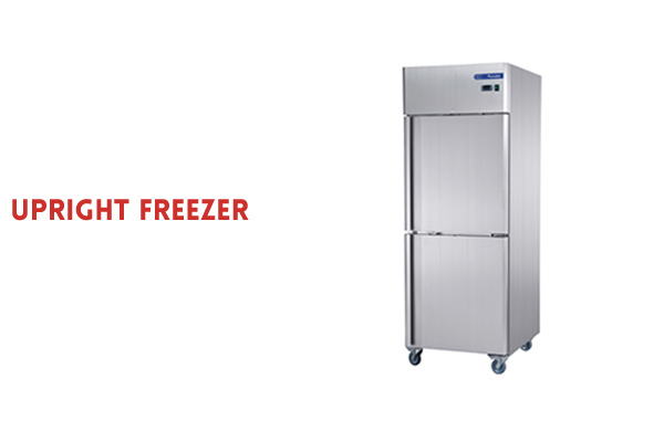 2 Doors Fancooling Upright Freezer.jpg