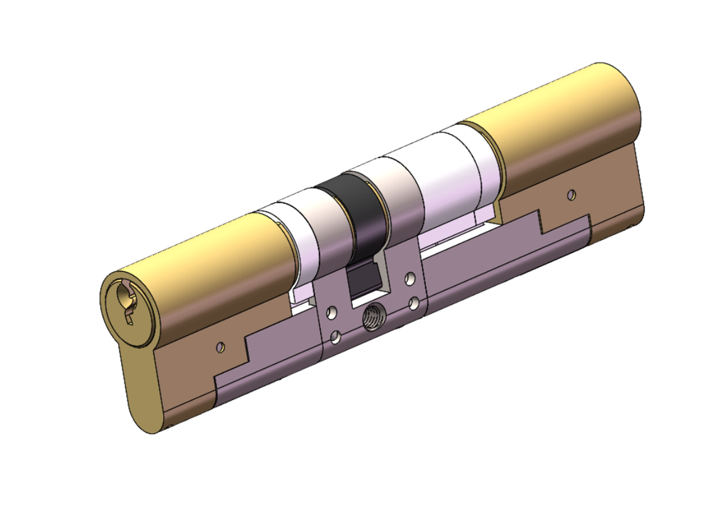 Module lock cylinder
