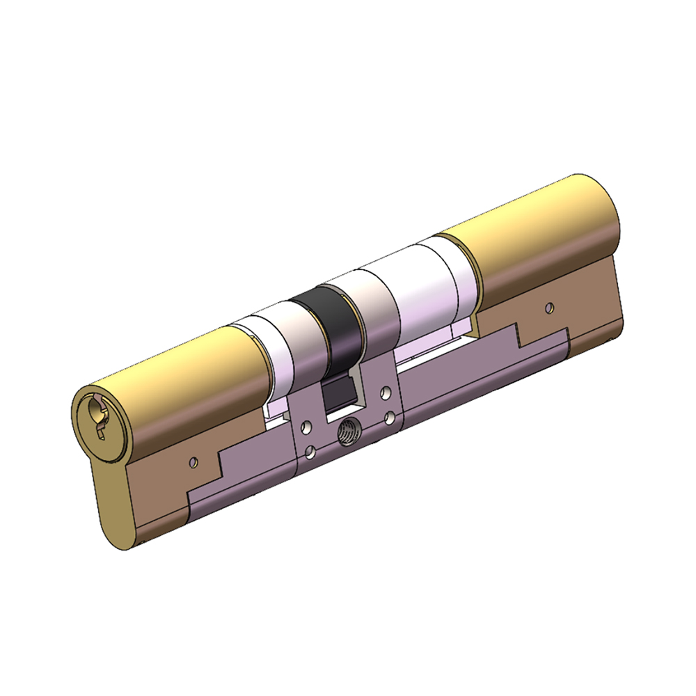 Module lock cylinder
