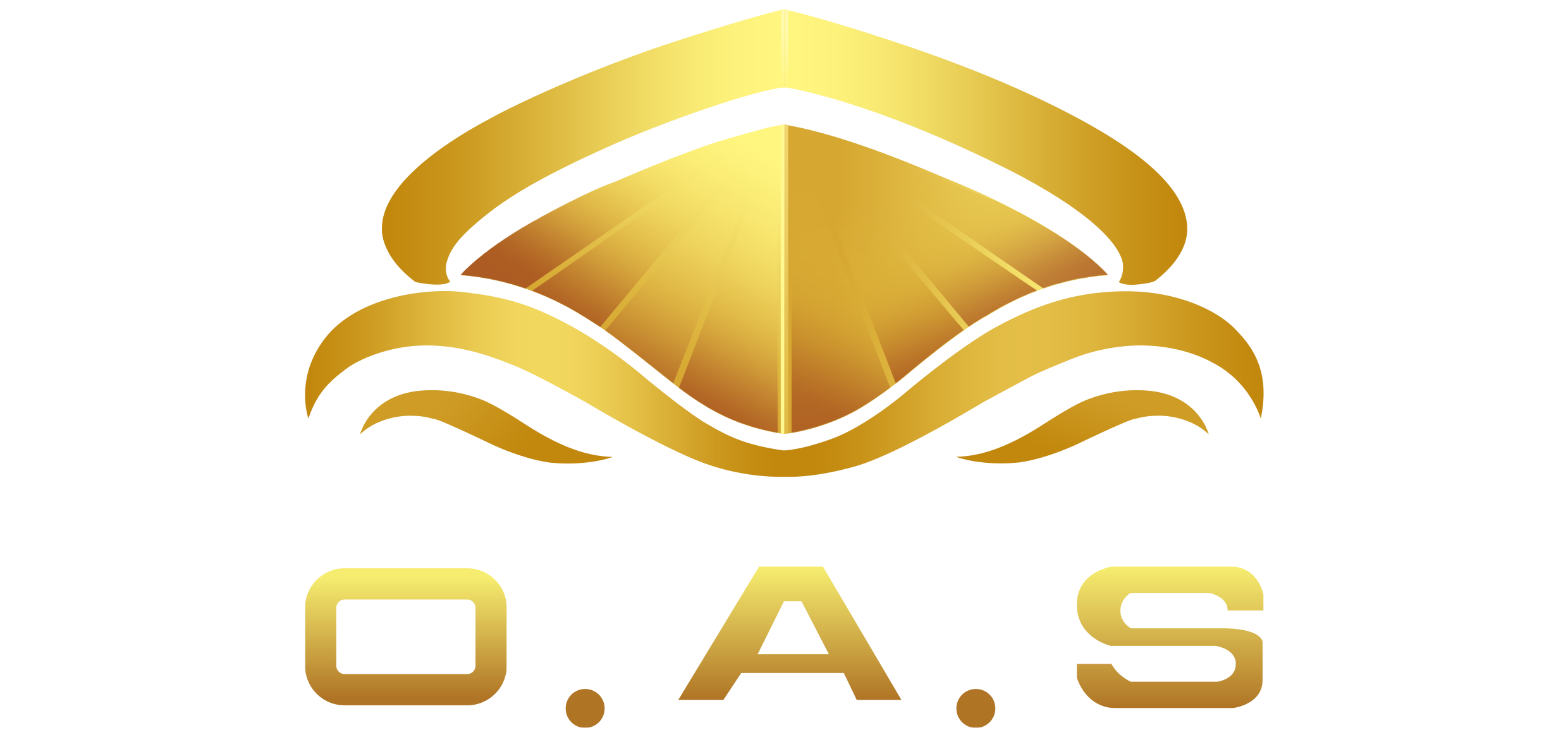 Shenzhen Ocean Artwork Studio (O.A.S) Technology Co., Ltd.