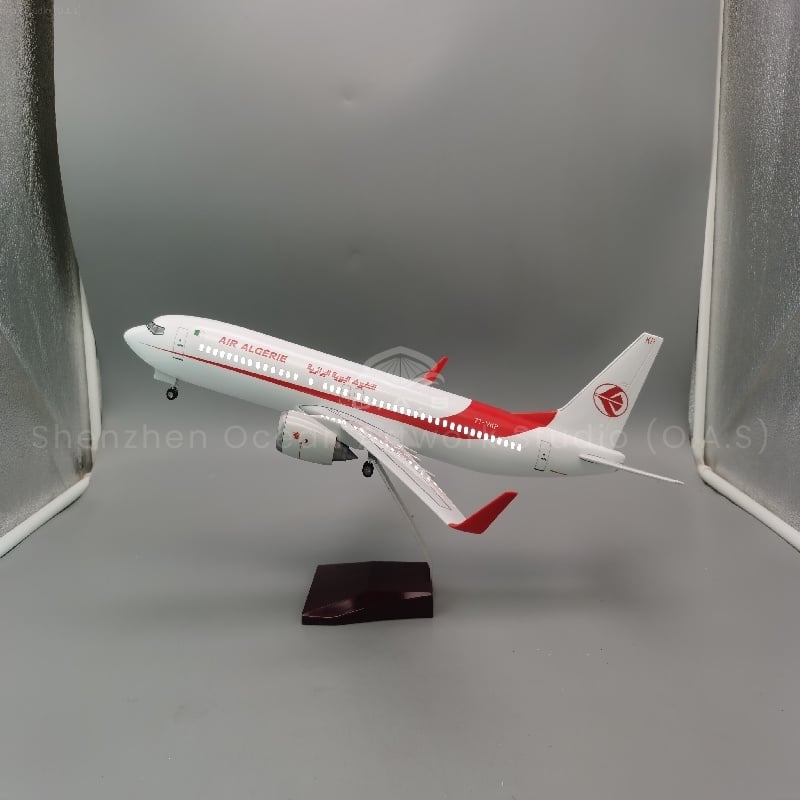 737-800阿尔及利亚2.jpg