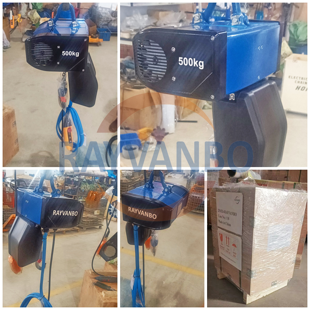 Rayvanbo 500kg HH-A European type electric chain hoist successfully shipped