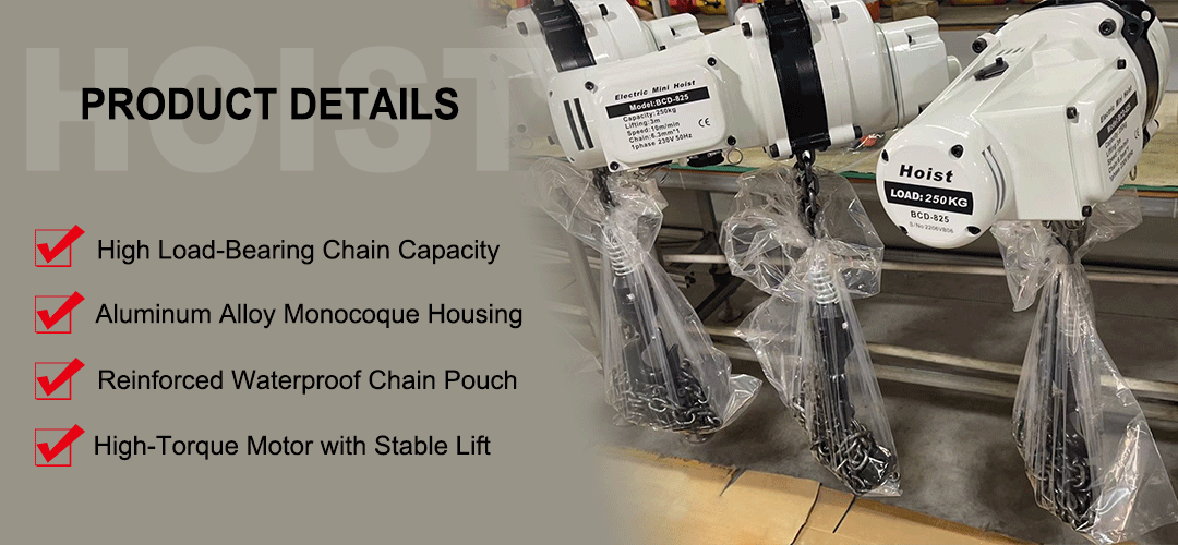 BCD-mini-hoist-(white)banner.gif