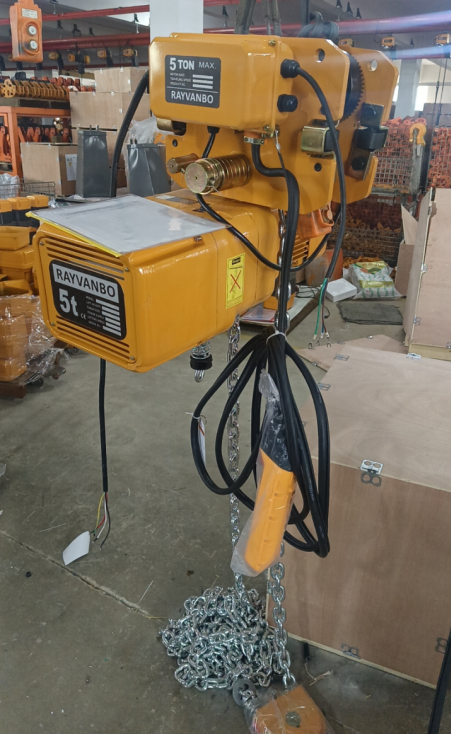 rayvanbo 5 sets er type electric chain hoist customized for uruguay customer-2