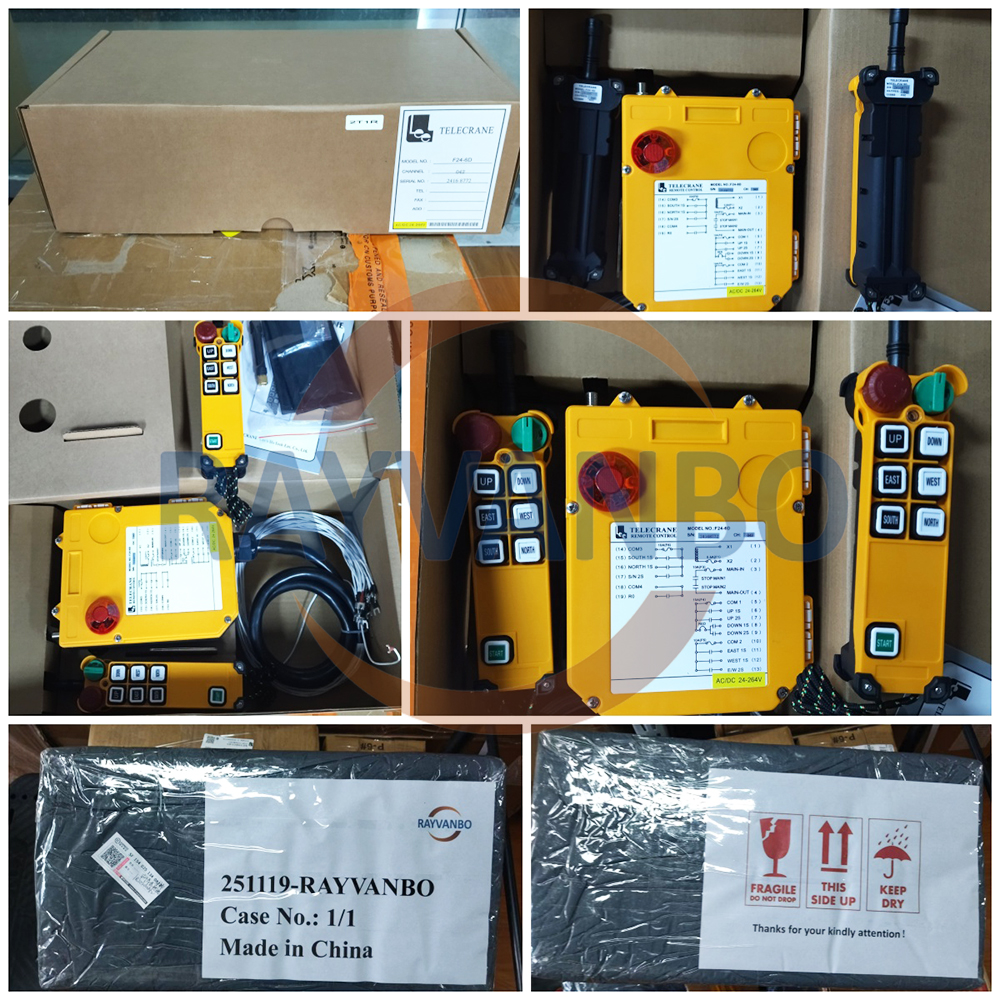 Rayvanbo Cyprus customer successfully shipped F24-6D industrial remote control