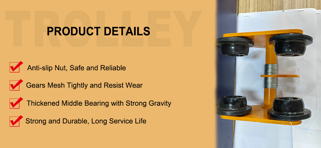 Manual-Hoist-Trolley-RAYVANBO(6).jpg