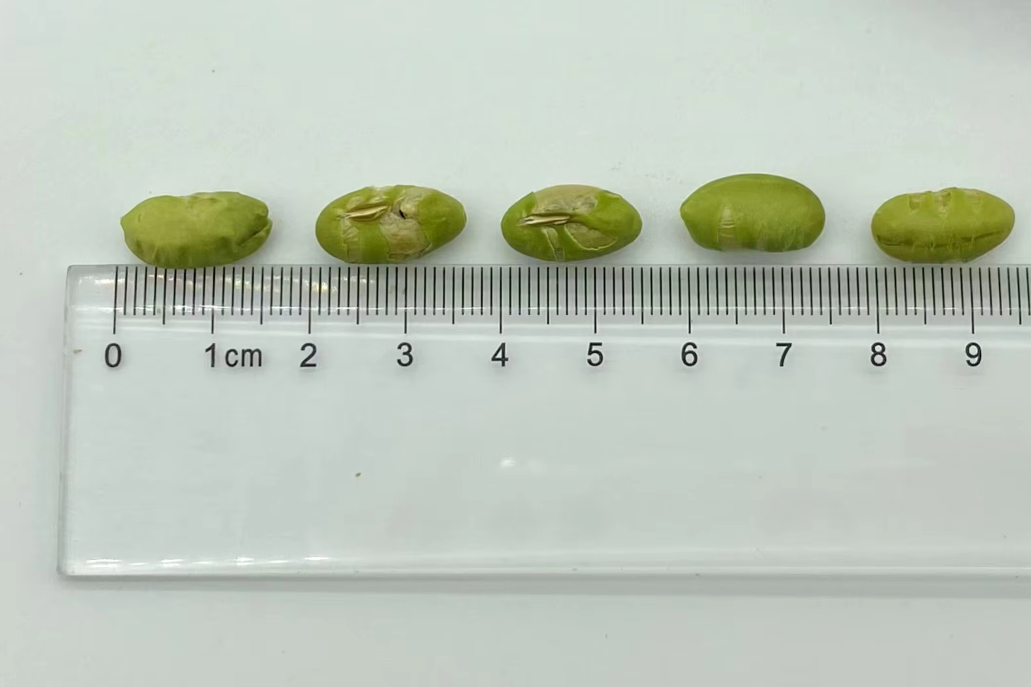 Hvorfor er ristet edamame-tørket bønner i trend innen helsematsektoren