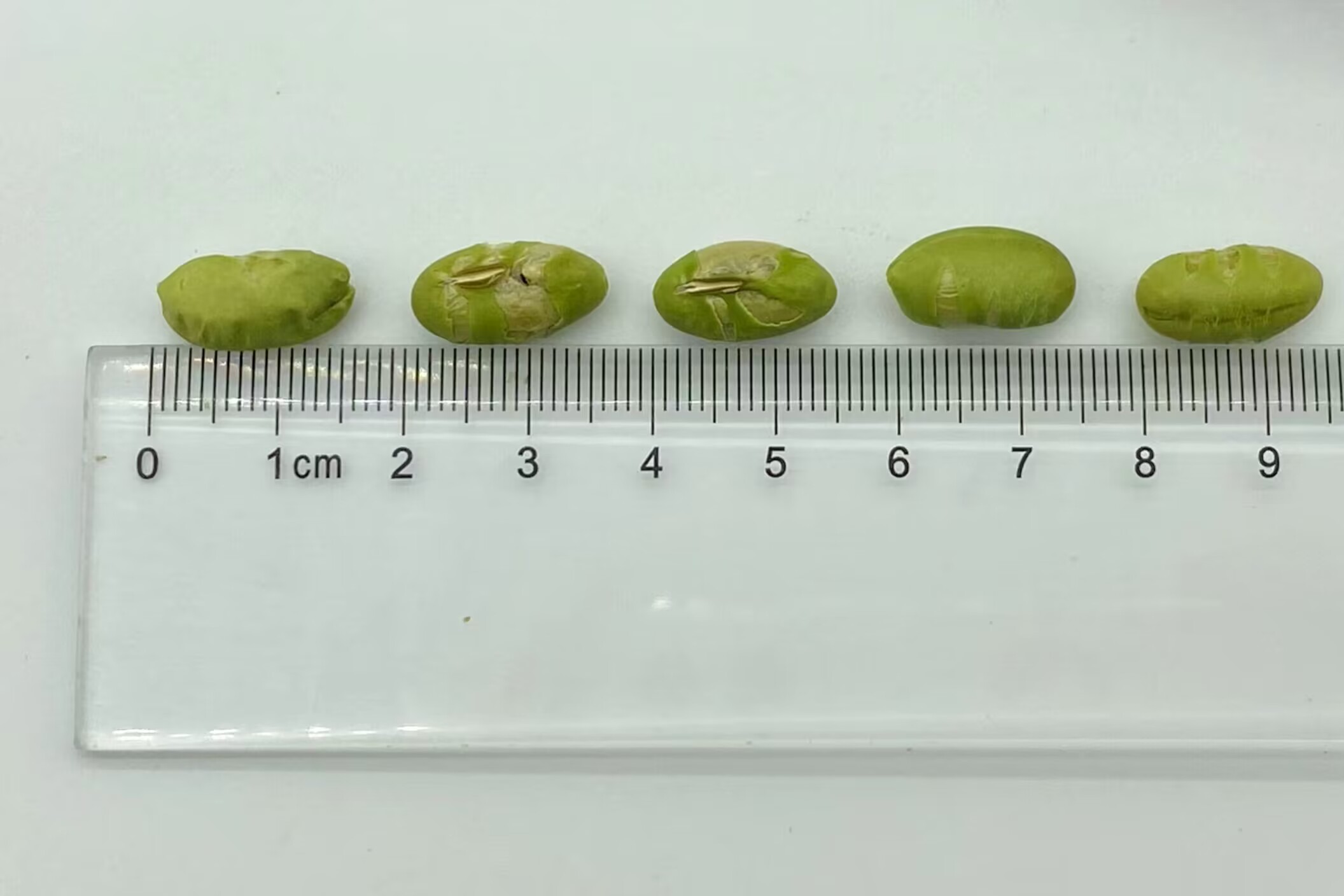 Fortgeschrittenes Qualitätssicherungssystem