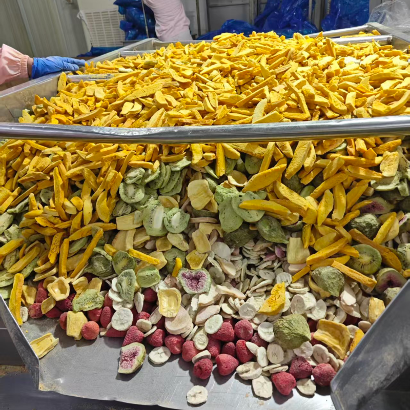 FD Mixed FreezeDried Fruits | Bulk Assorted Crispy Freeze Dried Fruit Mix for Global Export Wholesale
