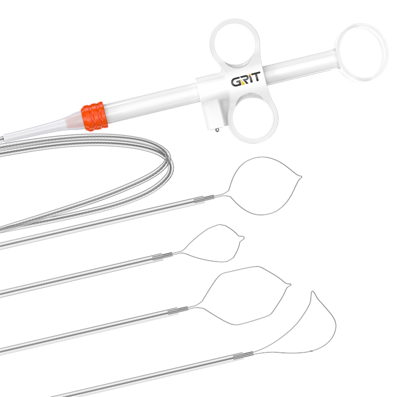 Disposable Polypectomy Snare