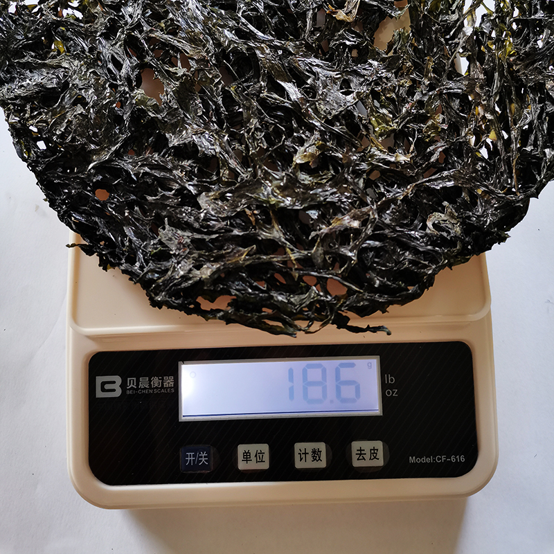 Dried Seaweed Bulk for Food or Producing Extract