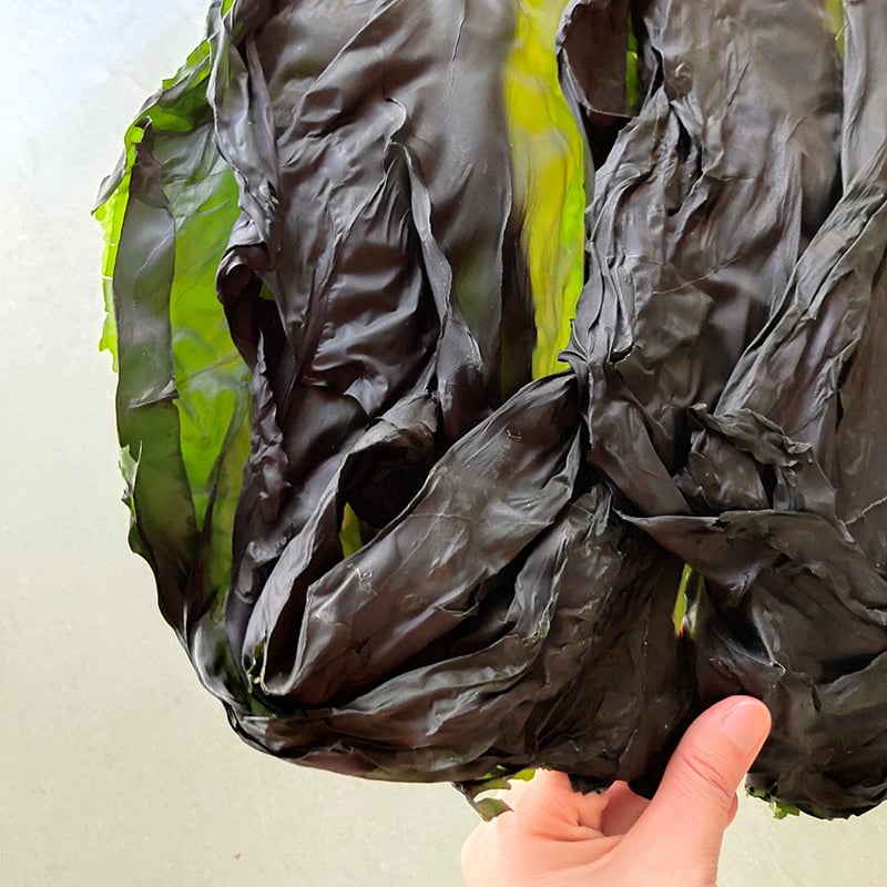 Organic dried kelp 50g