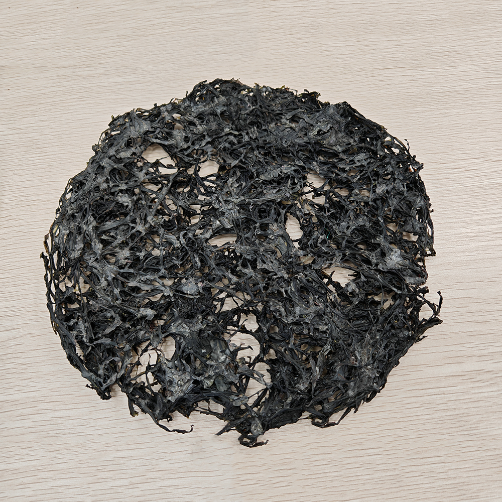 Dried Seaweed Bulk for Food or Producing Extract