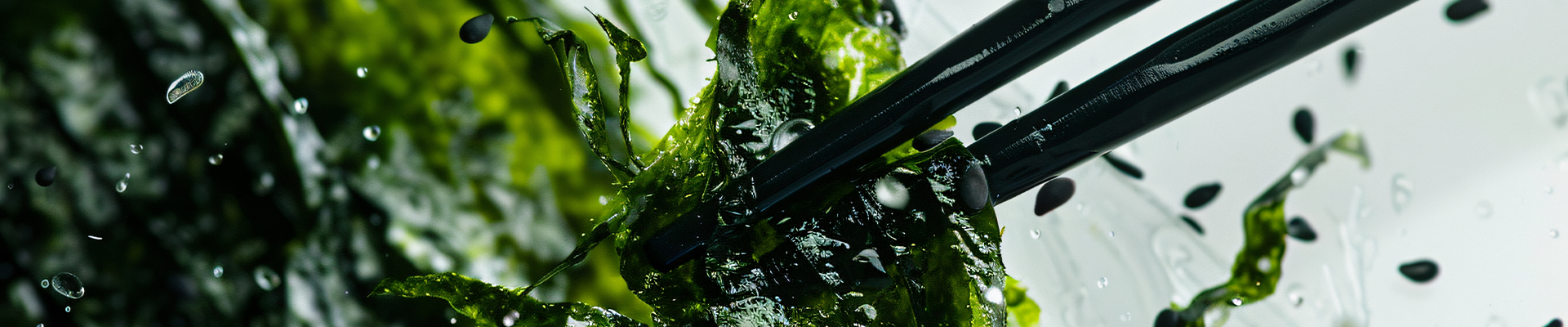 100 sheets sushi nori roasted seaweed  export grade bulk for distributors  food manufacturers-0