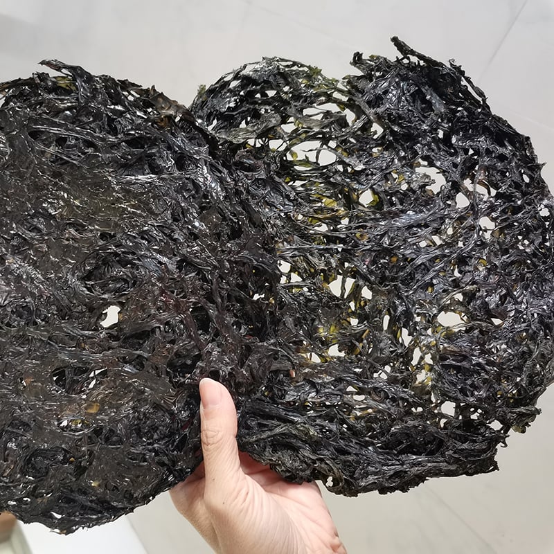 Dried Seaweed Bulk for Food or Producing Extract