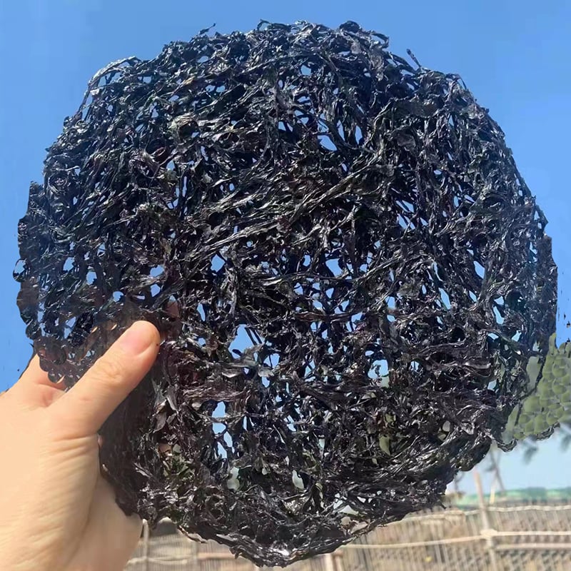Aodao Seaweed 500g