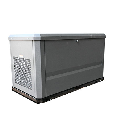 LPG Generator