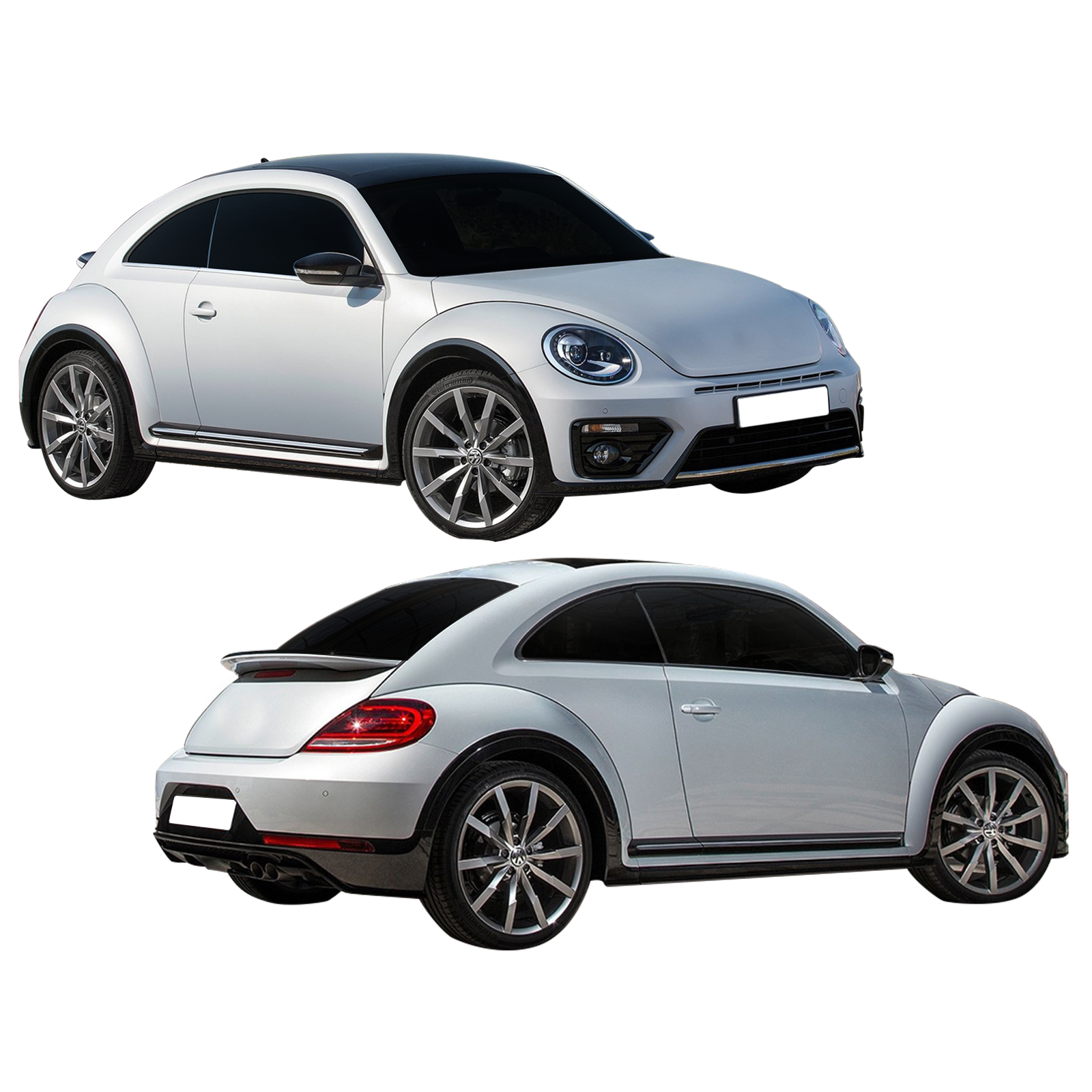 BEETLE 2017-