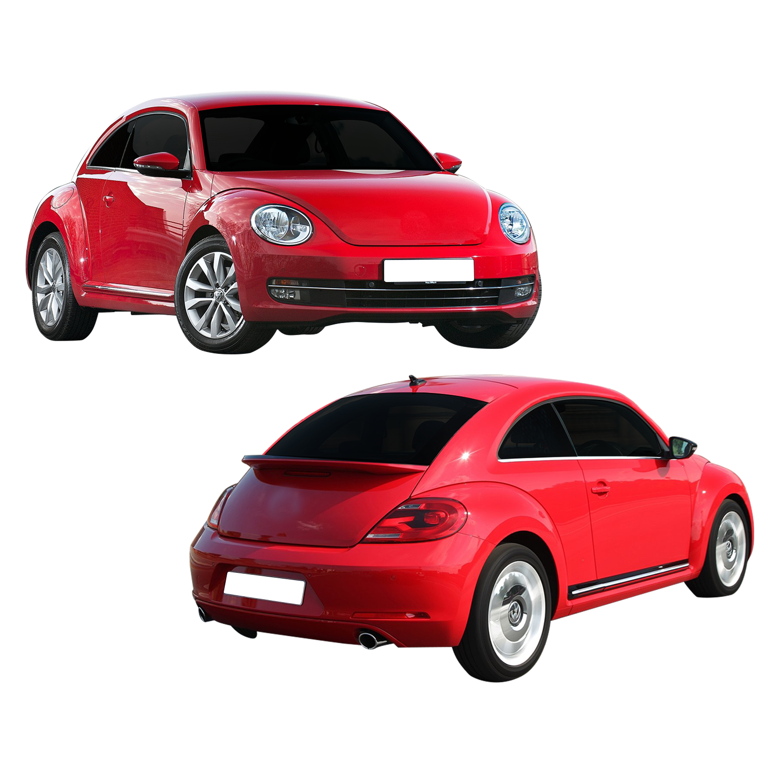 BEETLE 2011-16