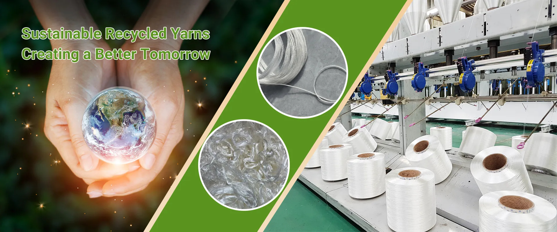 Sustainability Is Not Just a Slogan — It’s Shenmark’s Core Philosophy