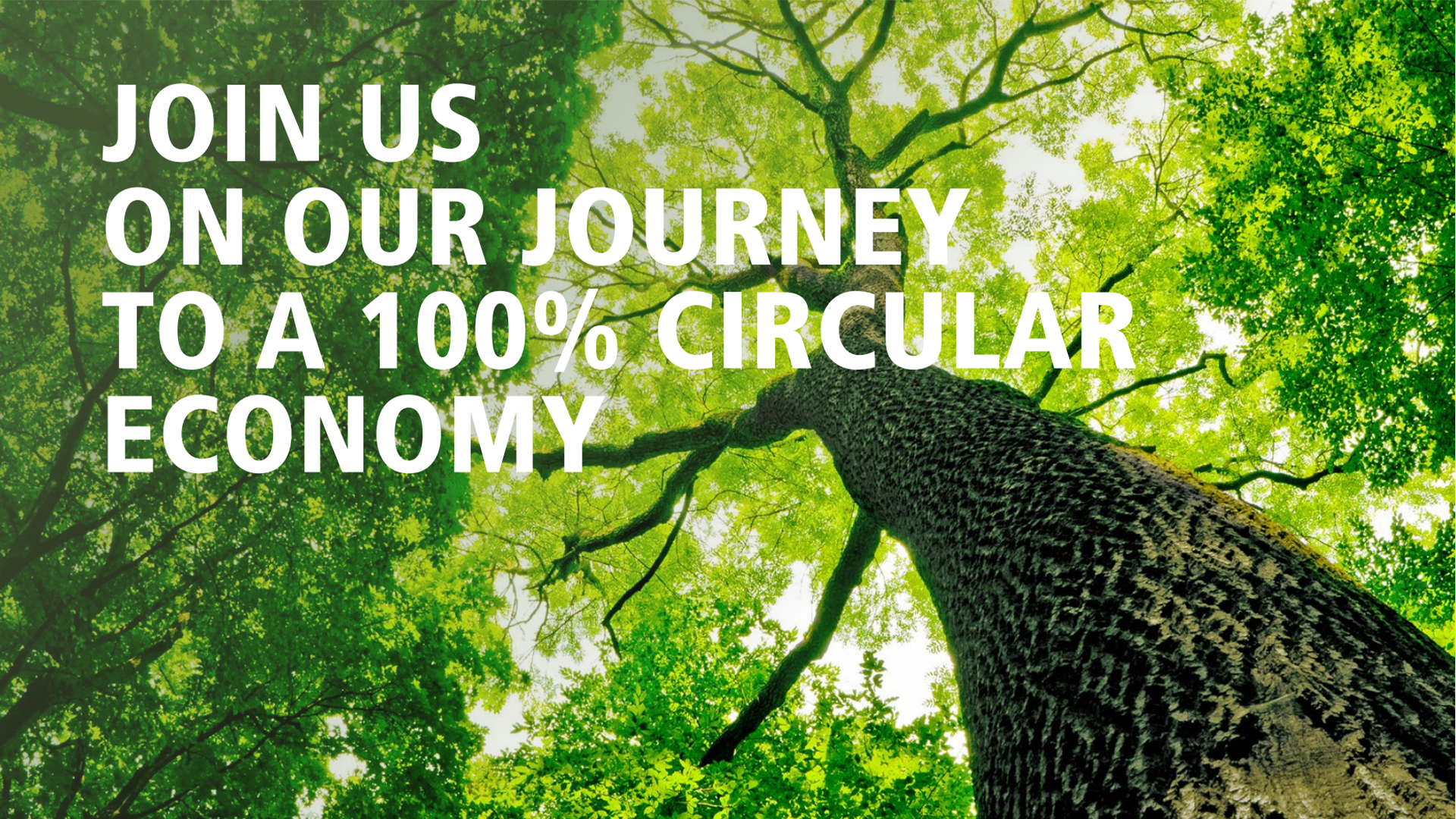 Recycled Polyester Sewing Thread from PET Bottles: A Sustainable Innovation by SHENMARK Technology