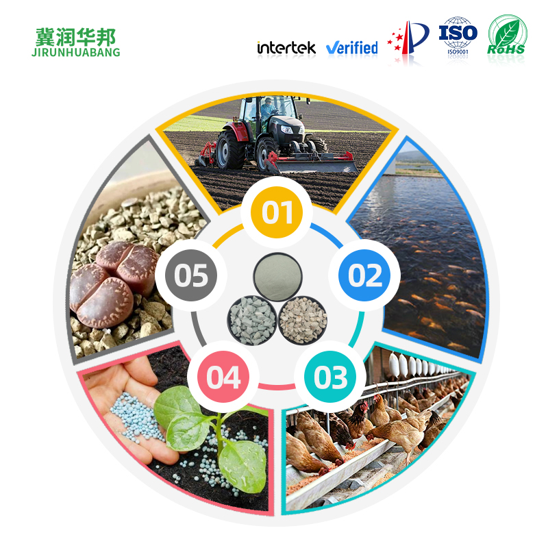 图片 2.png