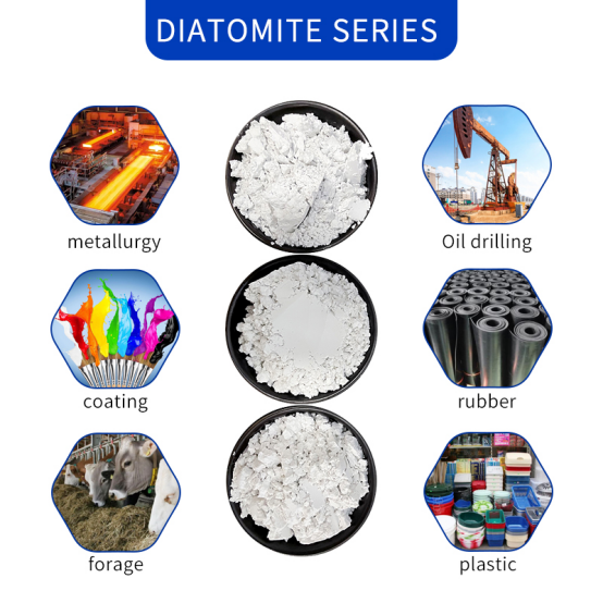 What is Diatomite? A Natural Mineral Powering Industry and Daily Life