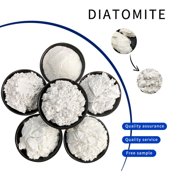 What is Diatomite? A Natural Mineral Powering Industry and Daily Life