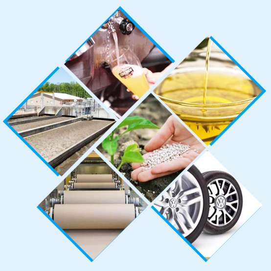 What is Diatomite? A Natural Mineral Powering Industry and Daily Life