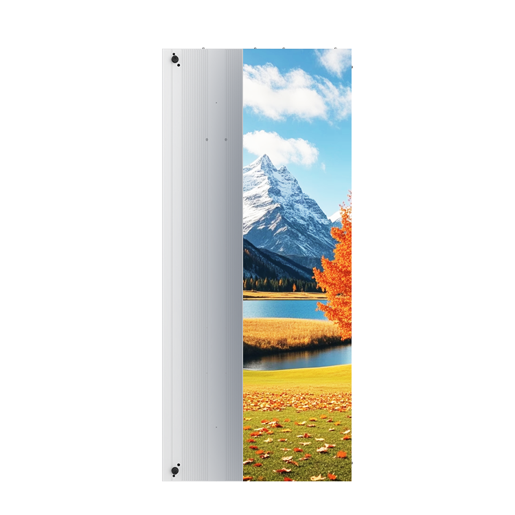 XW Series