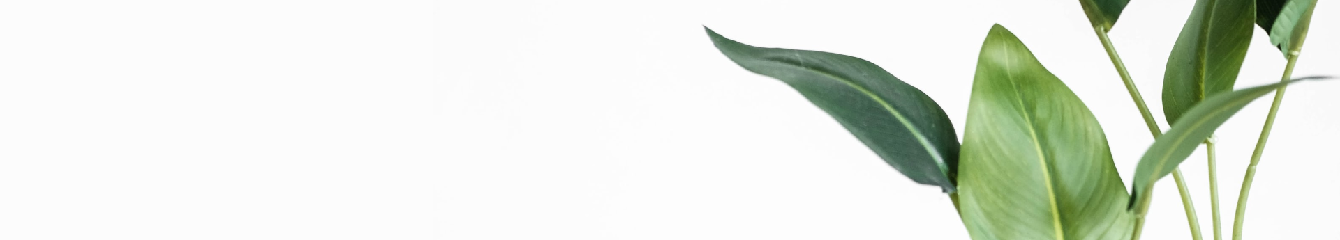 Application - Zhejiang Bornature Fashion Technology Co. , Ltd.