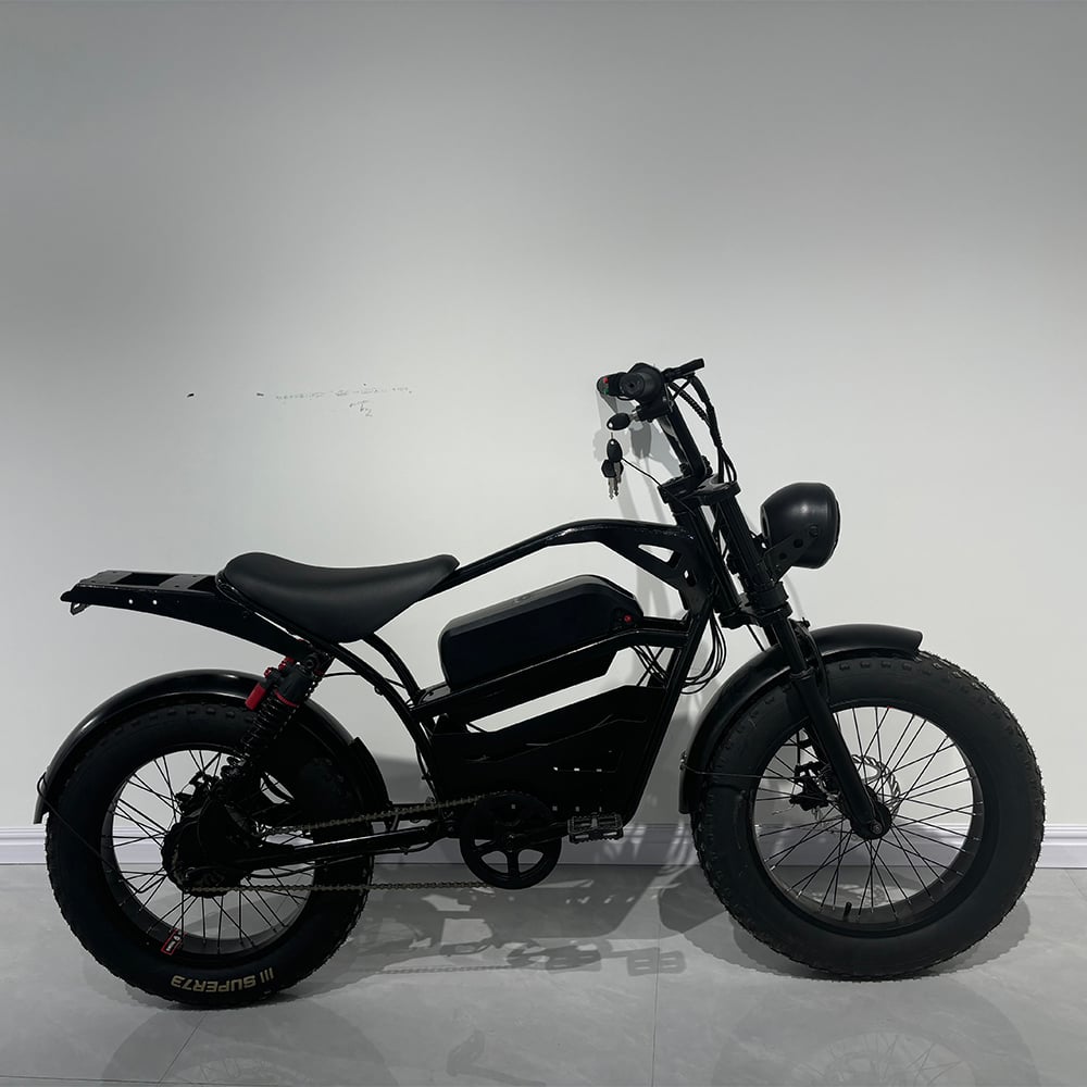 Profissional grande 800W Motoneta Elétrica bicicleta elétrica Freios a Disco Durável e moderna