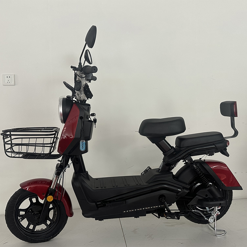 500W Electric Scooter Supplier Low MOQ Custom Design Available
