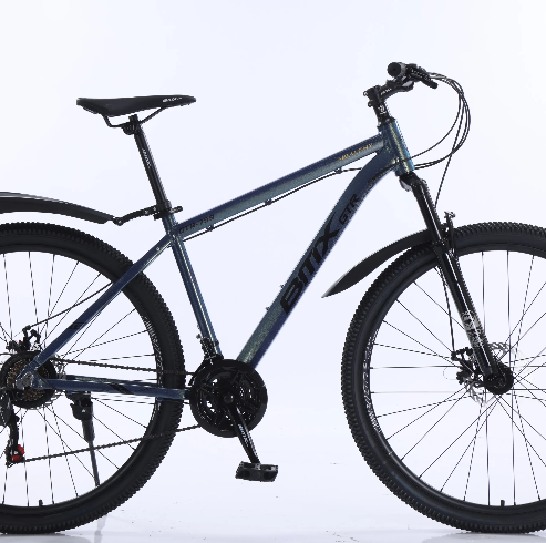 Prioritizing Comfort: Selecting a Bicycle for Adults with Back Issues
