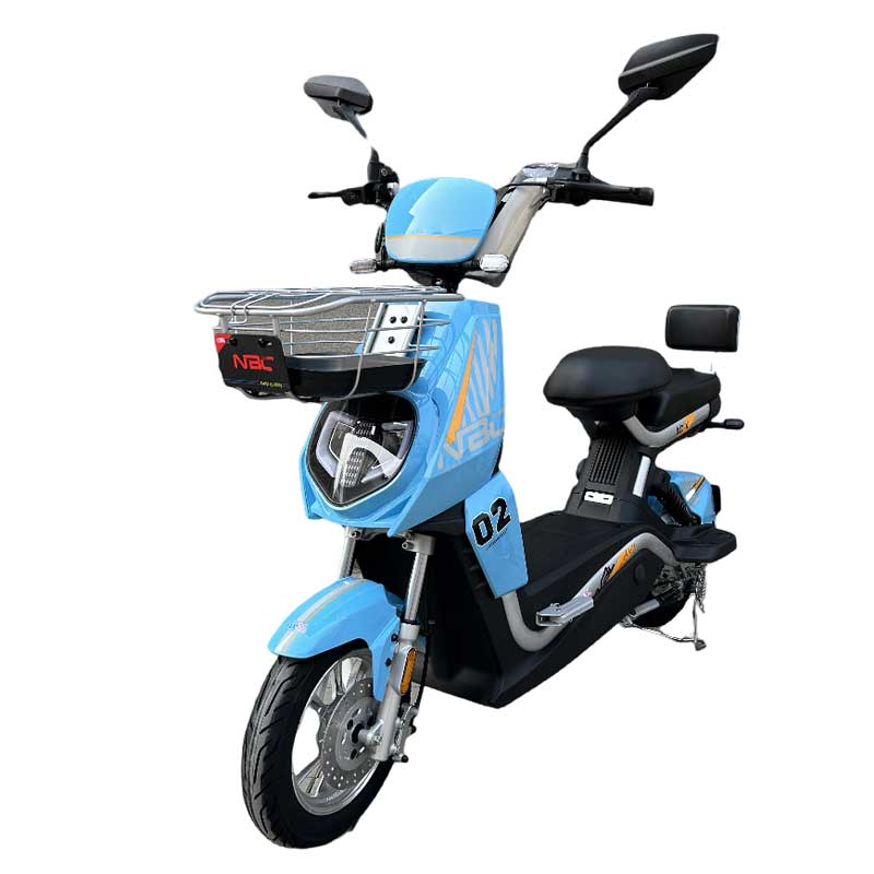 Buy electric bicycle 48V 12/20AH e bike Low price outdoor 450W E-bike supplier