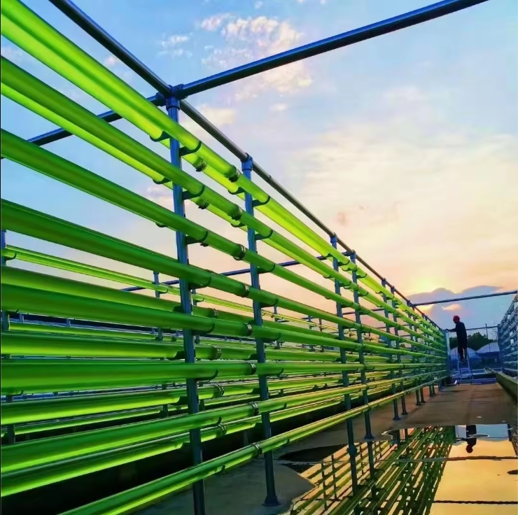 Choosing the Right Extruded Plastic Tubes for Your Business Needs