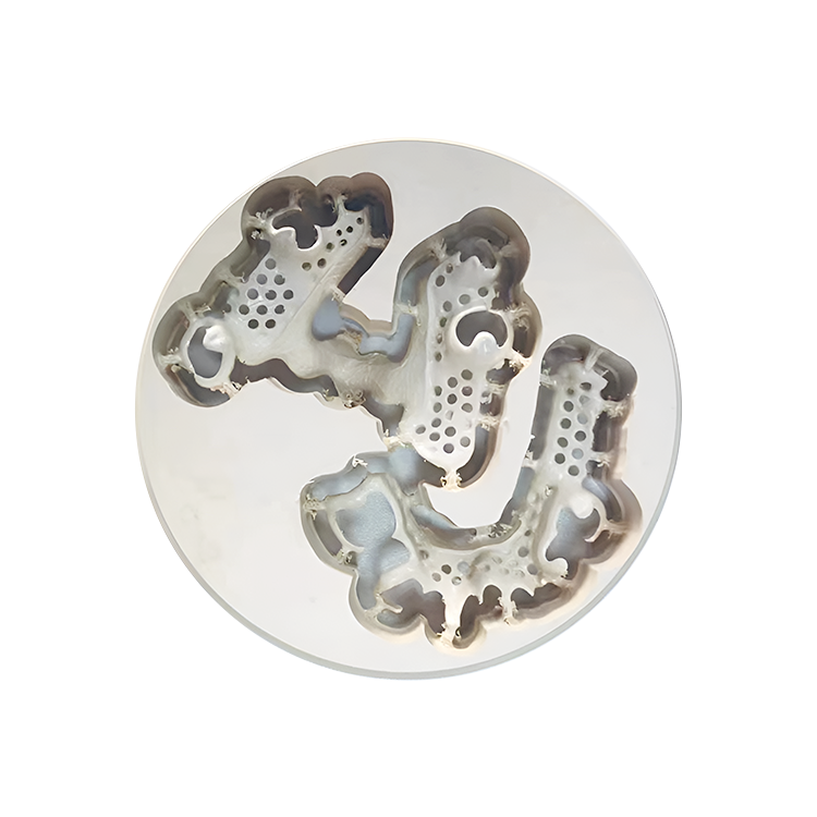 Gusrom dental PEEK Block-For Crown&bridge, Denture bases, etc.