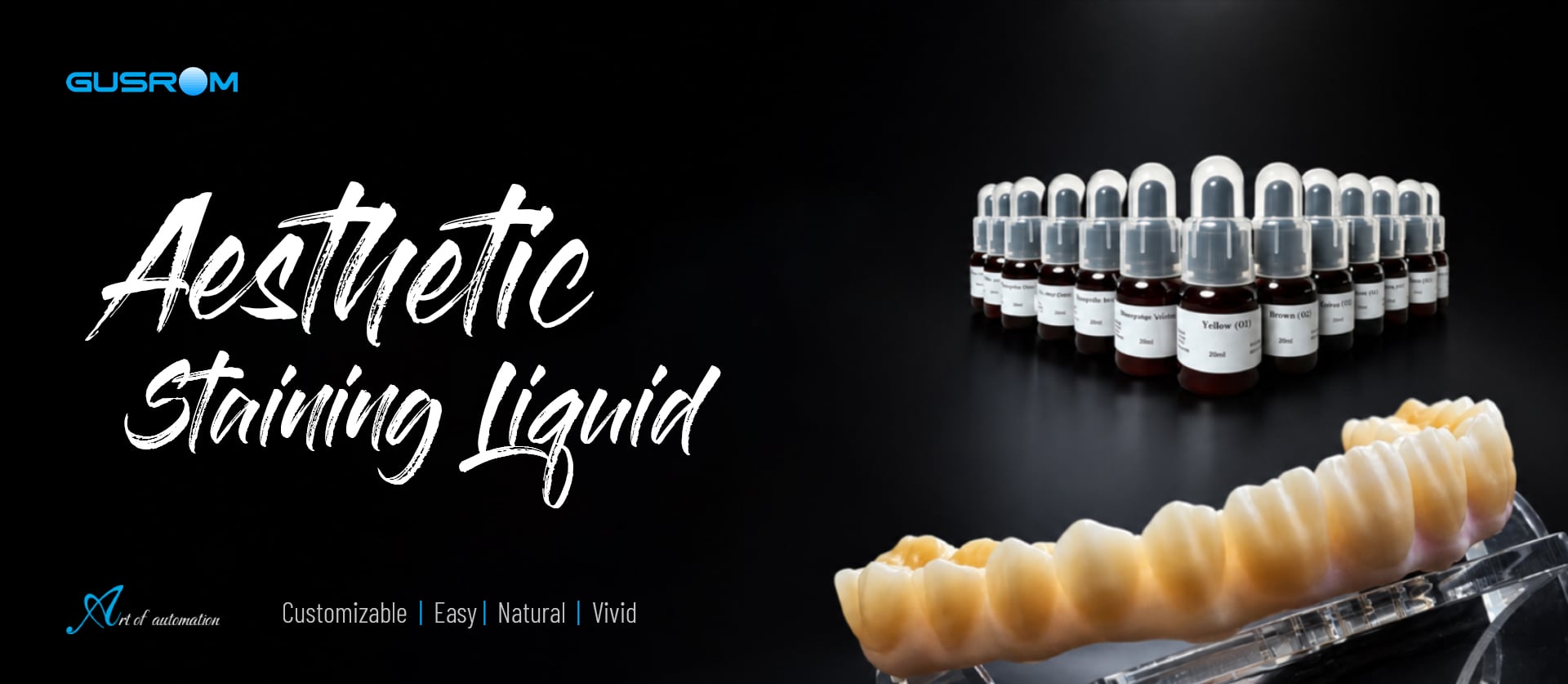 Gusrom Zirconia Esthetic Coloring Liquid