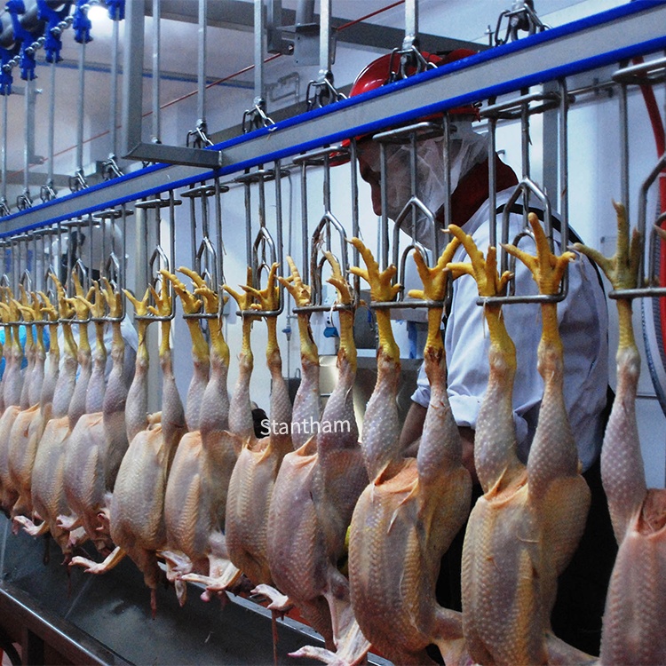 Complete Poultry Abattoir Equipment, One Turnkey Scope