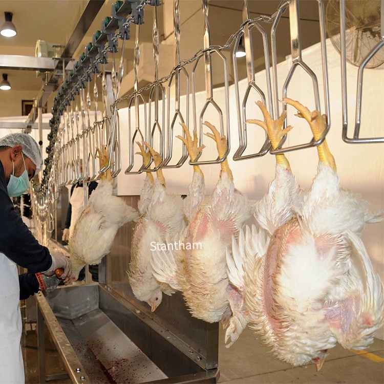 From Carcass To Margin