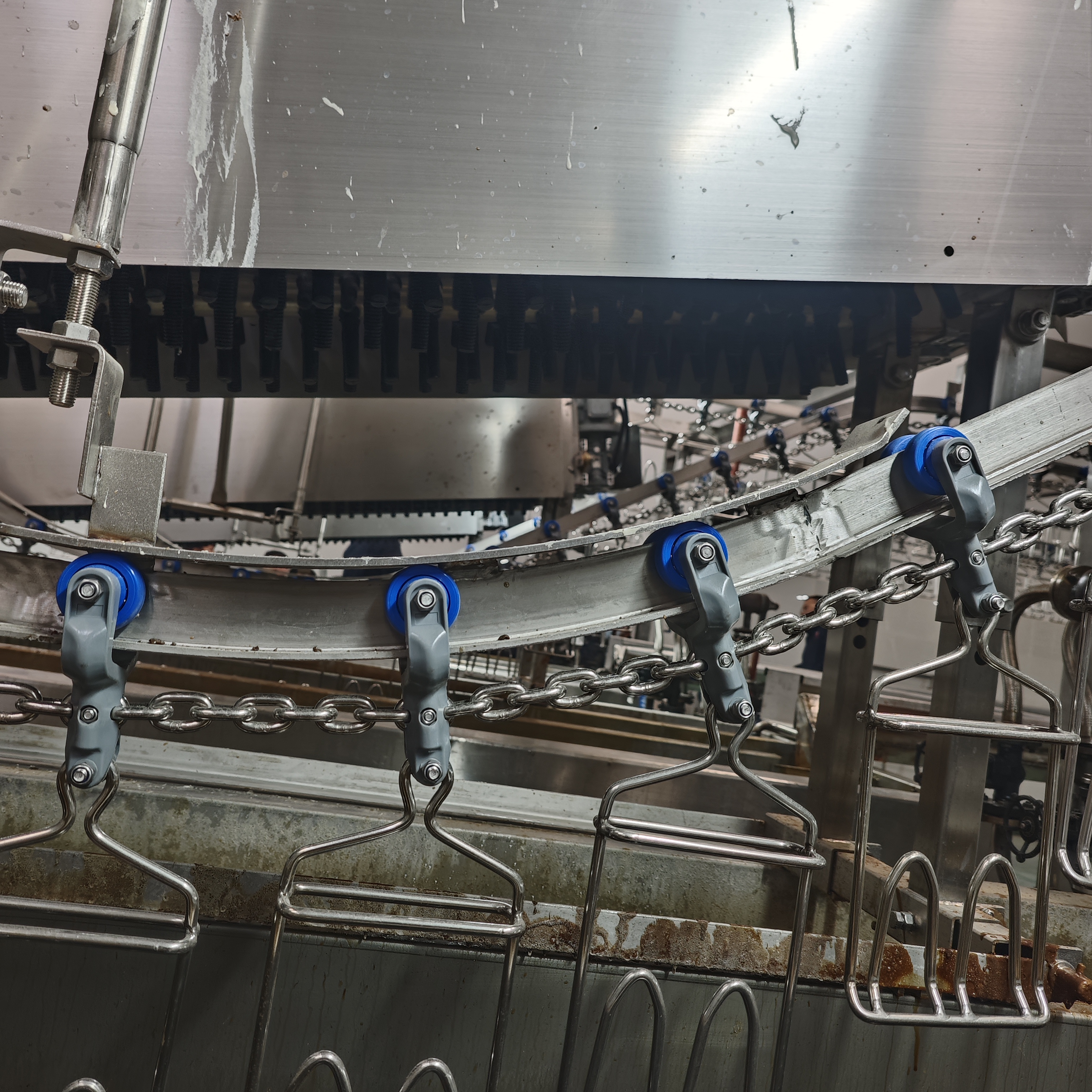 Complete Slaughterhouse Equipment for Every Processing Stage