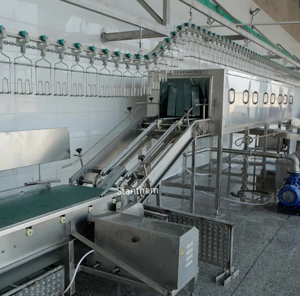 How does a mechanical chicken slaughter system minimize bone breakage compared to manual methods?