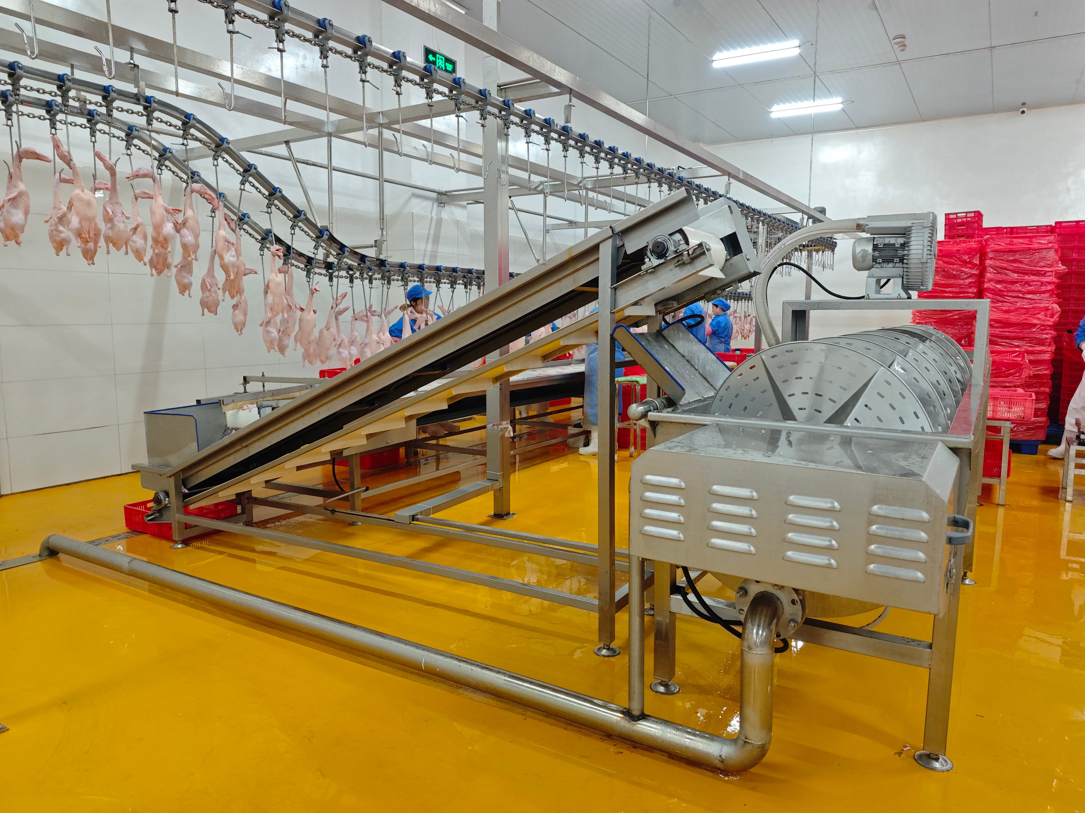 Stantham’s 10,000 BPH Duck Slaughter Line: 4 Months of Stable Operation at Linyi Huaya Food