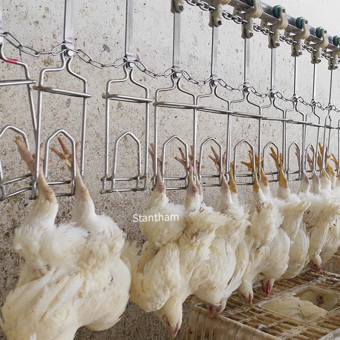 Built For Hygiene, Compliance, And Global Export