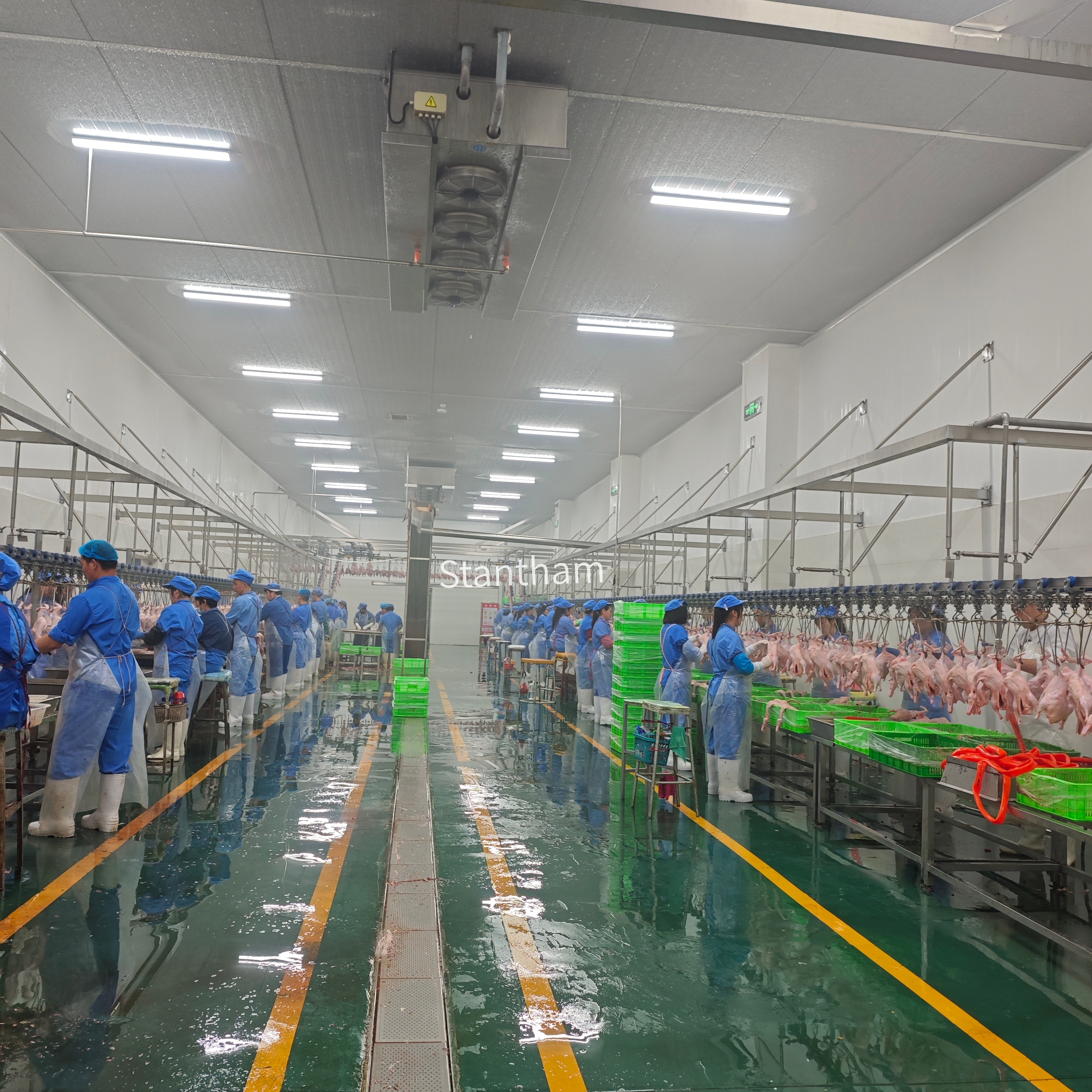 One Supplier, Whole Plant